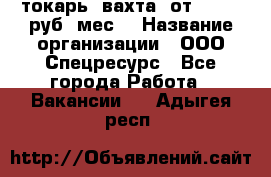 токарь. вахта. от 50 000 руб./мес. › Название организации ­ ООО Спецресурс - Все города Работа » Вакансии   . Адыгея респ.